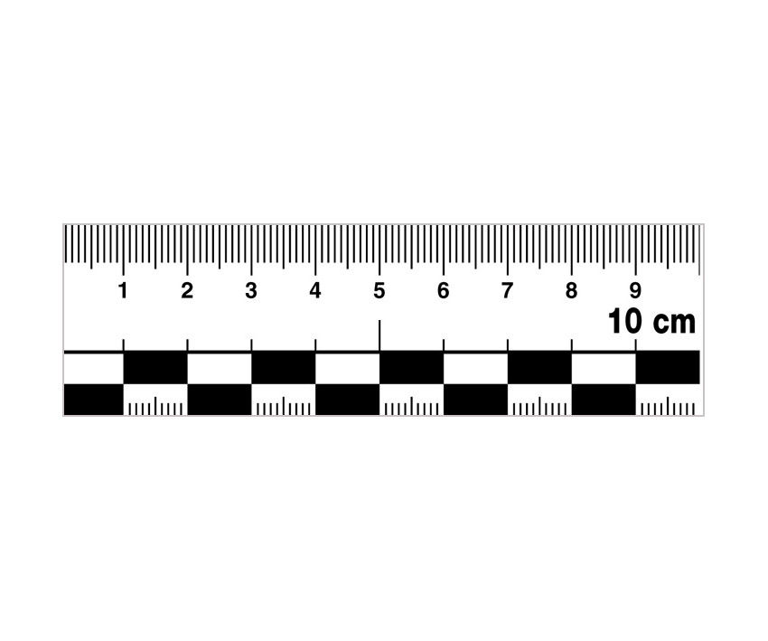 Sticky flexible ruler, 10 cm, foil