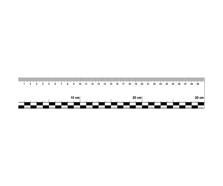 Sticky flexible ruler 30 cm, foil