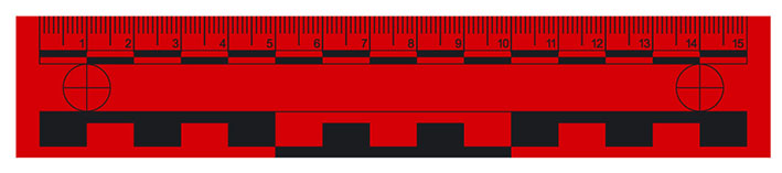 Magnetic ruler, 15 cm, red