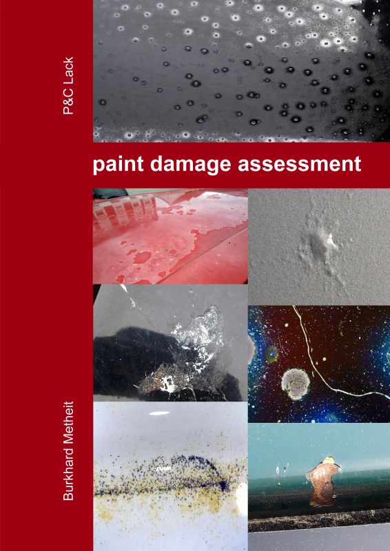 Paint damage assessment